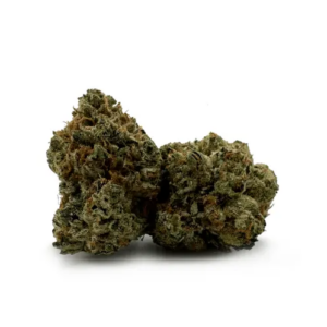 Buy Blue Comatose Online