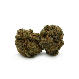 Buy Northern Lights Online