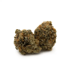 Buy Pink Bubba Online