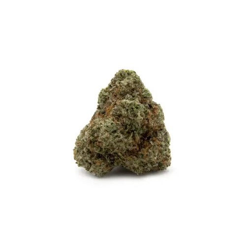 Super Glue Buy Super Glue Cannabis Online