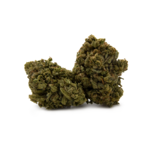 Buy Tangie Haze Online